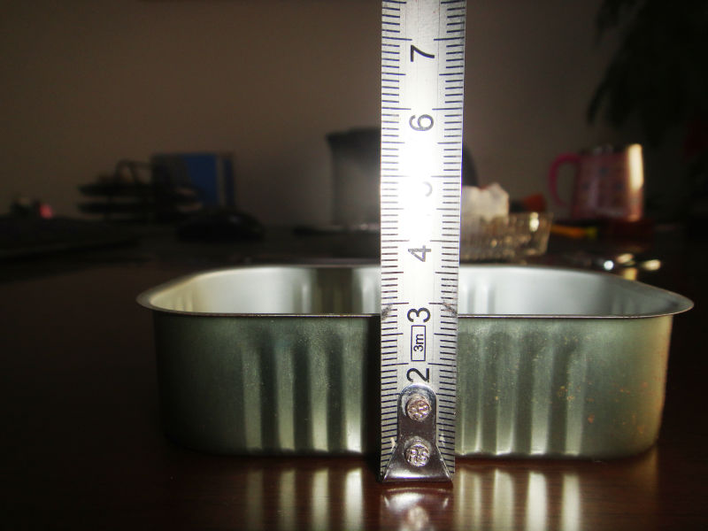 311# 125g Empty Sardine Can