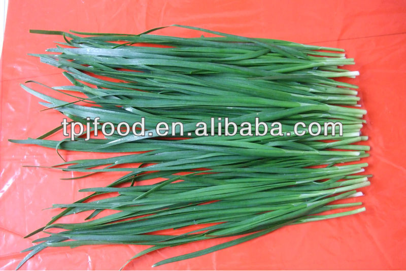2013 new season Frozen leek pieces