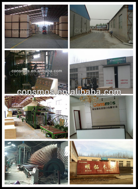 consmososbの生産者、 中国のosbのプロの輸出国 問屋・仕入れ・卸・卸売り
