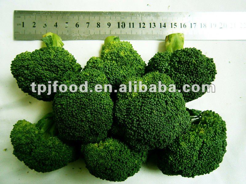 iqf broccoli florets with FDA BRC,HALAL,KOSHER,HACCP