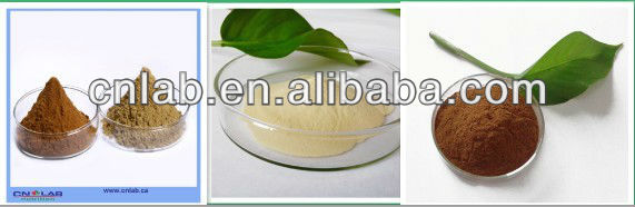 High quality korean red ginseng extract powder tea