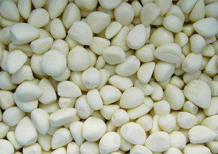2014 new IQF Garlic slices