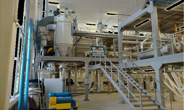 Wheat flour