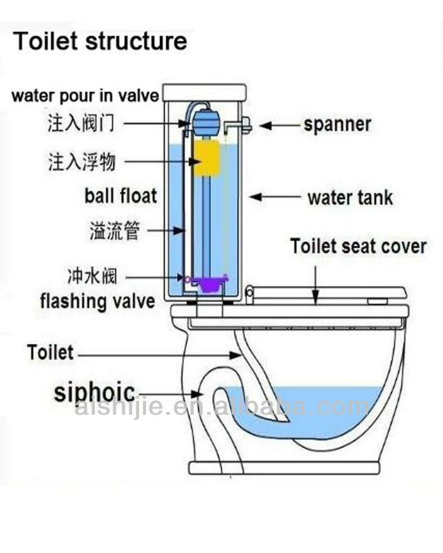 セラミックホテル環境a3131buiding装飾的な便座問屋・仕入れ・卸・卸売り