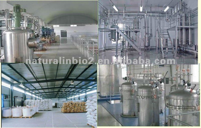 Factory Supply Instant Jasmine Tea Powder for Beverage and Drink