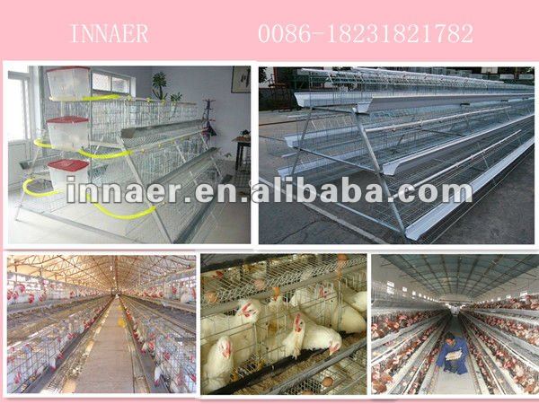 Egg layer chicken cages (0086-18231821782)