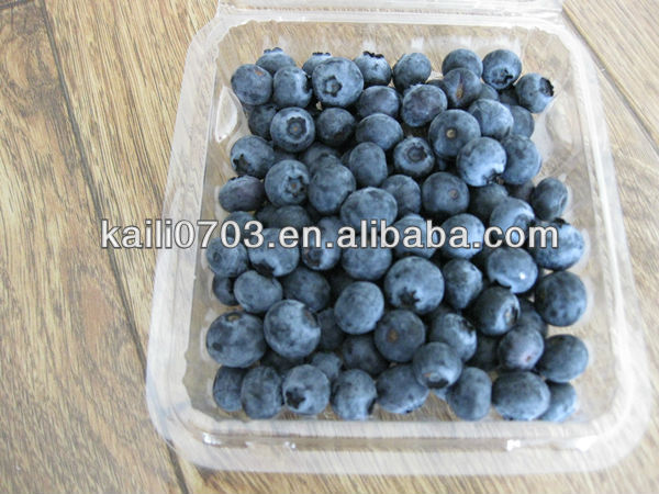 organic blueberries prices/blueberry blueberries/frozen blueberries price 2013