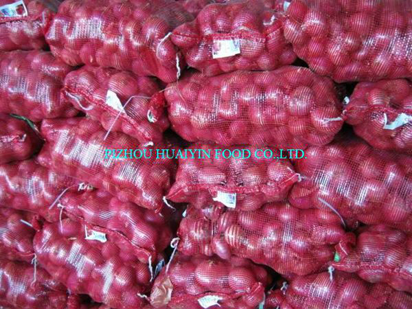 fresh red onion price