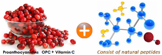 Cranberry & Vitamin C, natural peptides capsule high content of Proanthocyanidins and fortified with vitamin C health food suppl