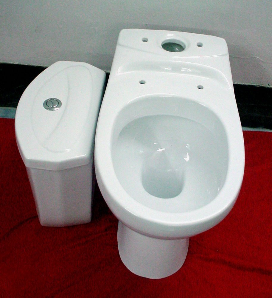 toilet p trap