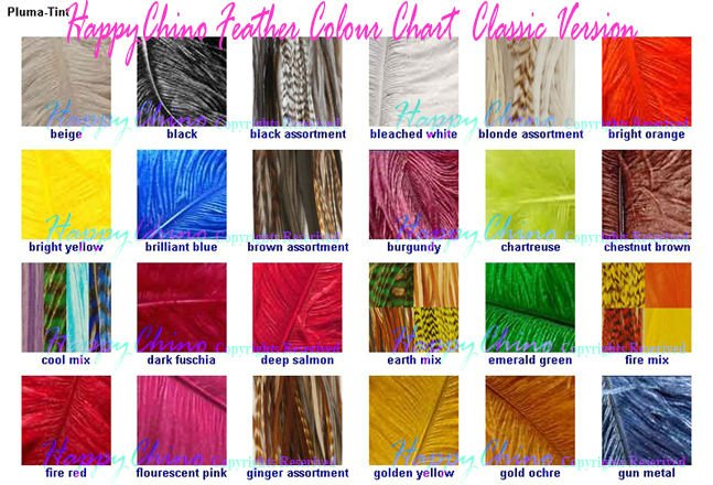 01Feather color Chart