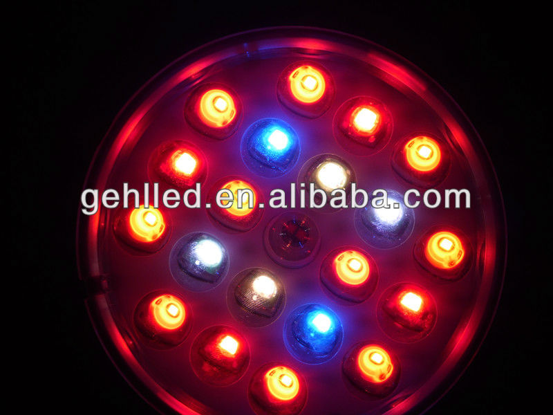 Grow light led full spectrum chip plant lighting for veg/black pepper