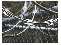 barbed-wire1.jpg