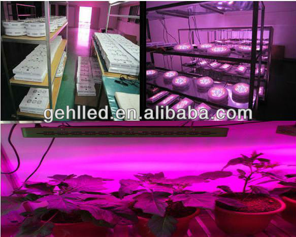 Grow light led full spectrum chip plant lighting for veg/black pepper