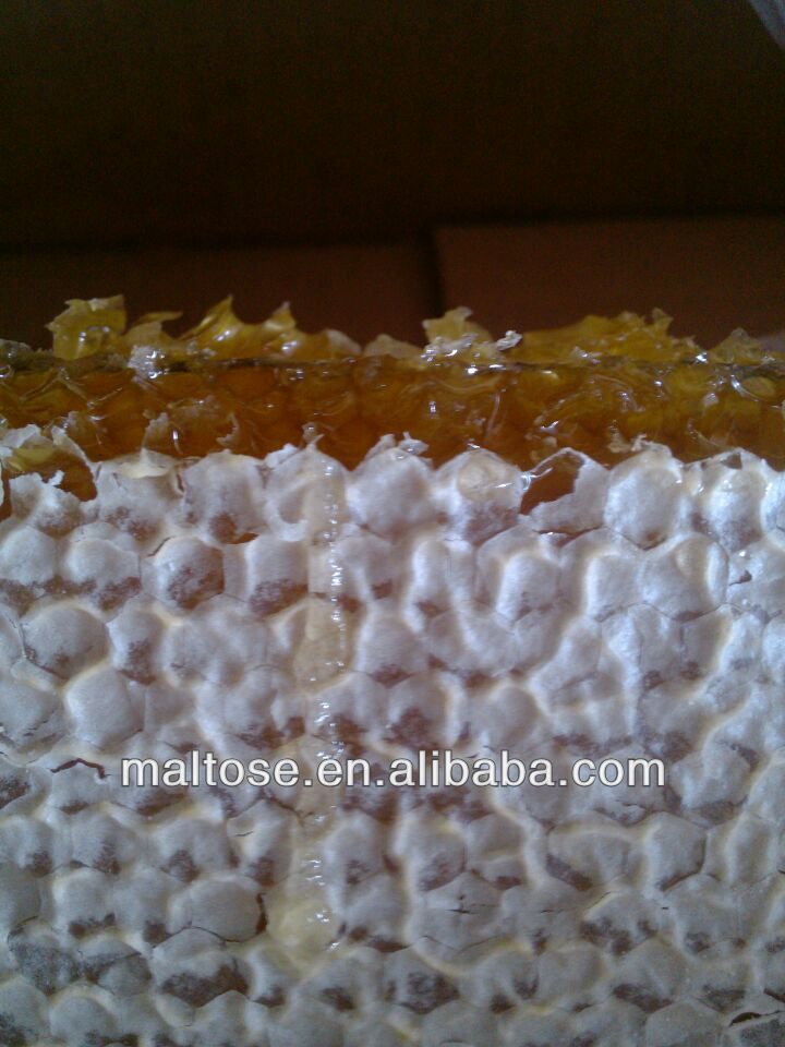 New Sidr Golden Combed Honey