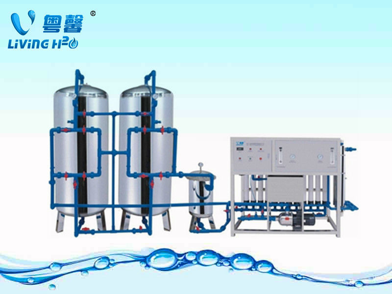 6000LPH