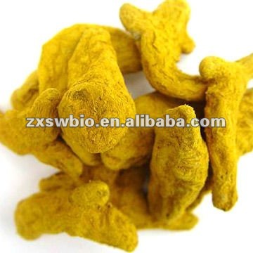 100% Turmeric yellow color yellow powder /curcumin powder