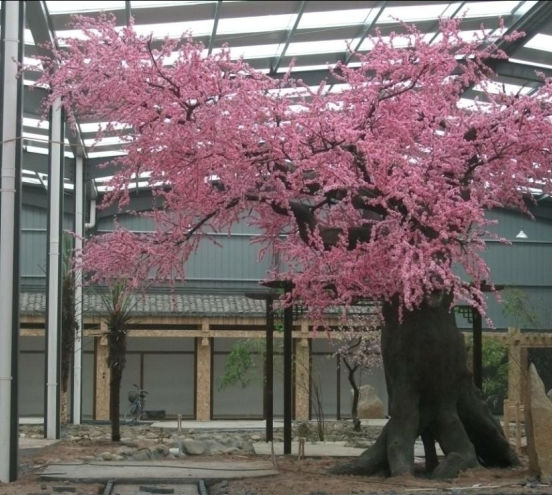 人工的な桜の木々yf/桜の点灯ツリー/桜盆栽ツリー問屋・仕入れ・卸・卸売り