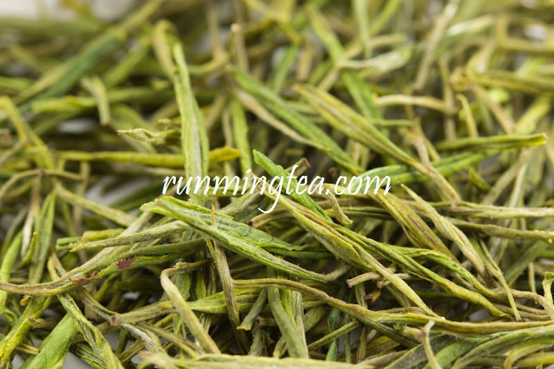 sencha