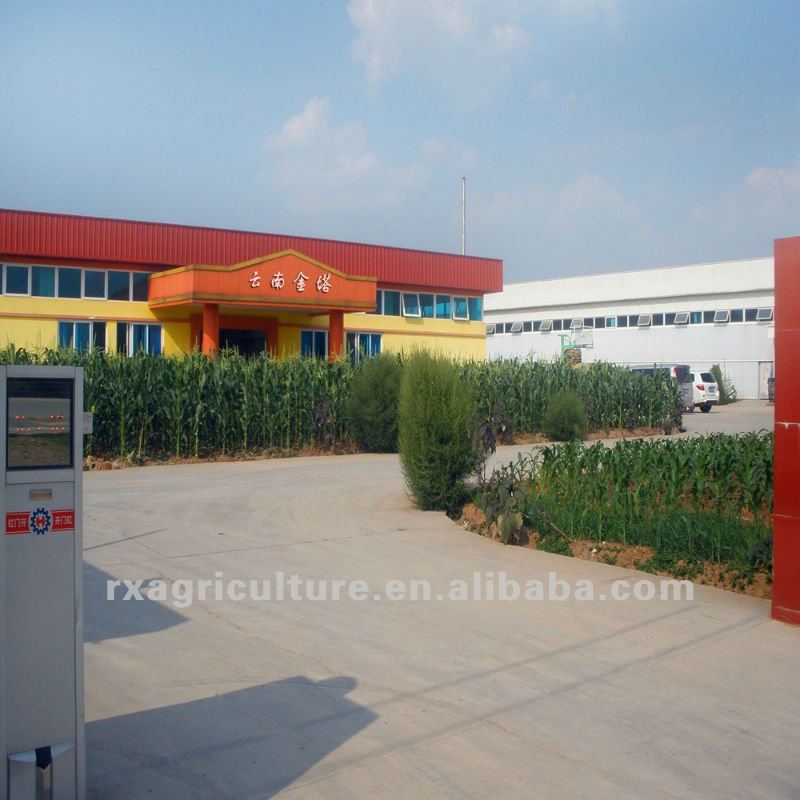 8 years experience in export konjac purified powder