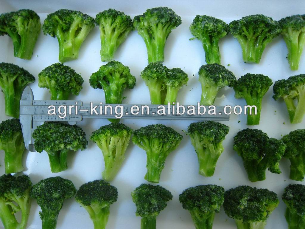 iqf nutritional frozen broccoli,China Yokid price supplier 21food