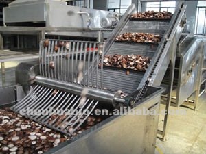 organic dried shiitake mushroom