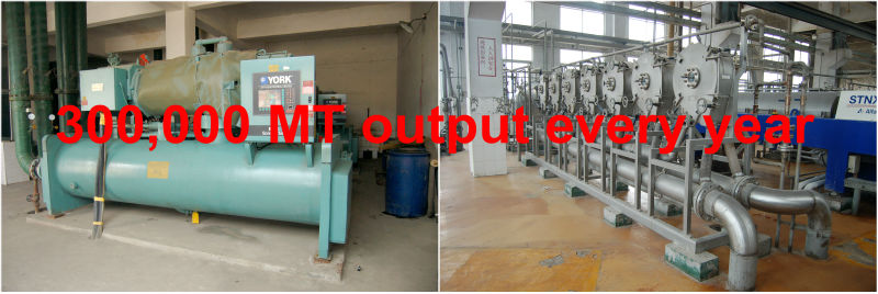 300000 MT output every year pure monosodium glutamate