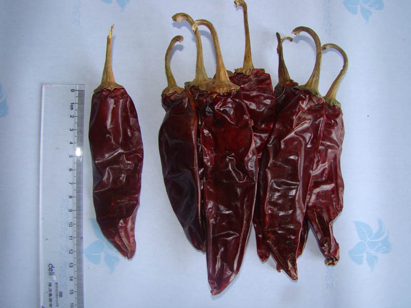 No 1 dry red American Red chilli