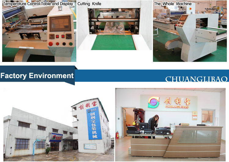 automatic corn starch powder packing machine