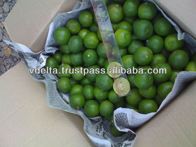 Fresh Green Lemon 2014 - Good price and high quality