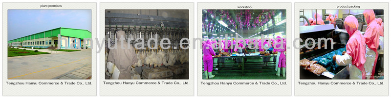 halal frozen price of broiler chicken