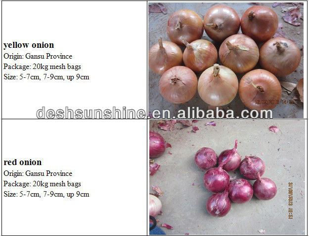 bulk small red onions, best price for red onion