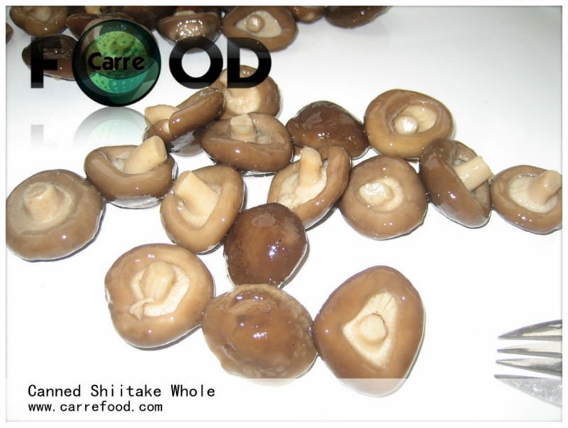 Canned Po-Ku mushroom in brine