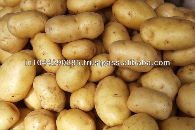 Potato Exporter in India
