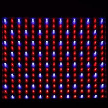 830831568_161