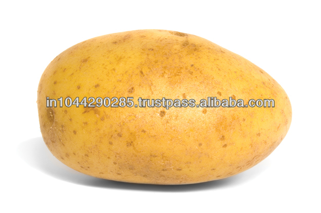 Potato Exporter in India