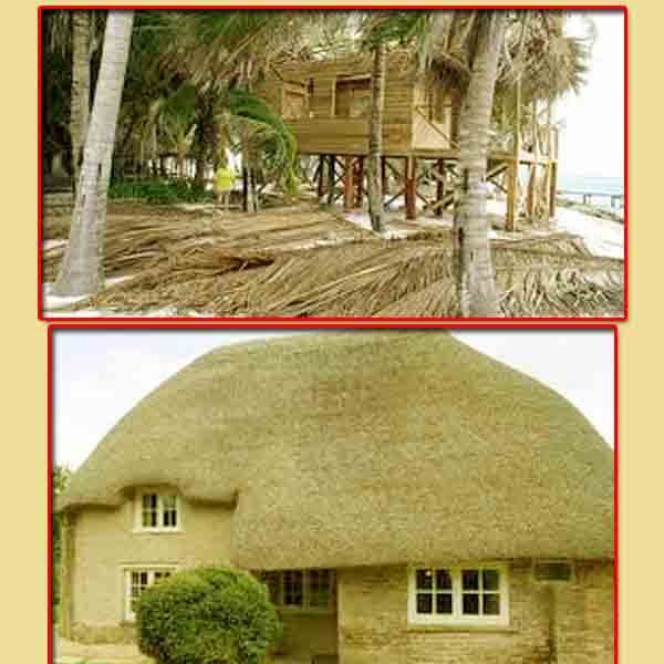 Thatched coconut Leaf House Construction in Pune