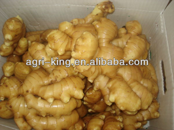 fresh ginger specification