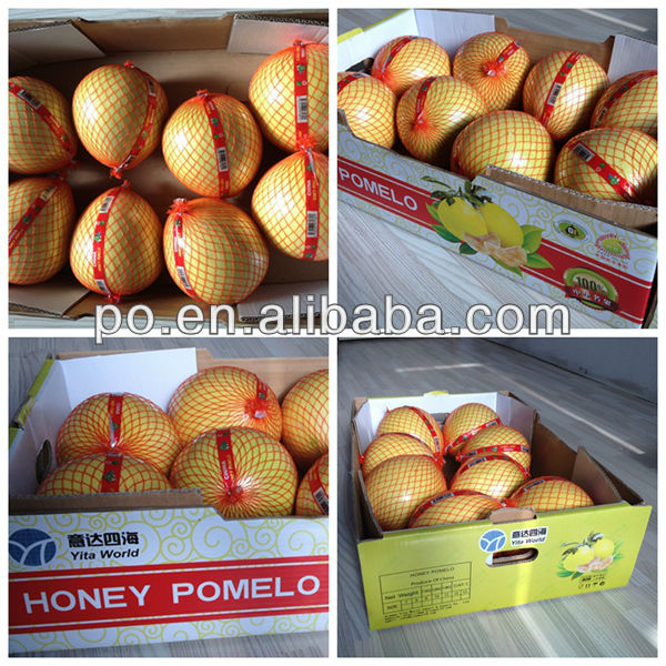 Chinese fresh honey pomelo