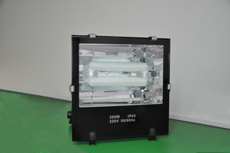 80W Induction lamp floodlight