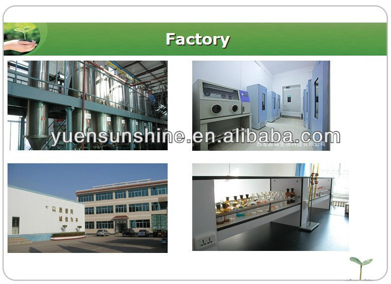 GMP supplier cinnamon extract/ceylon cinnamon extract