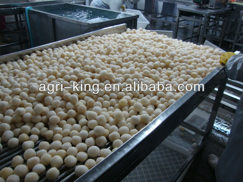 Grade A IQF Taro Root Export