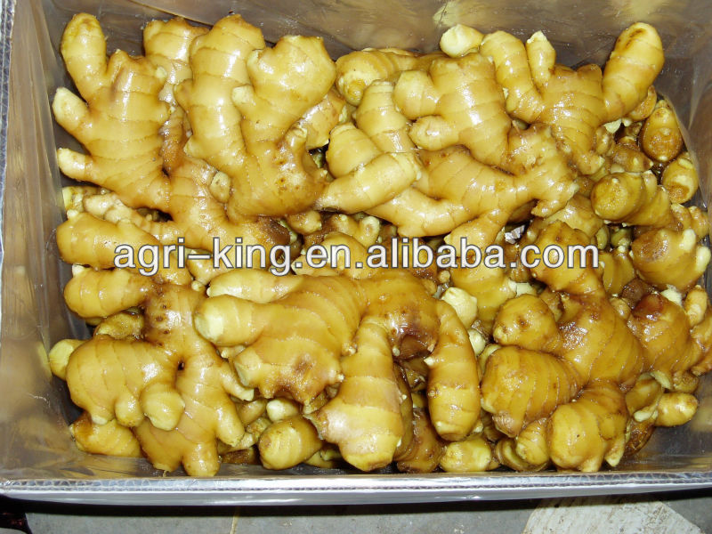 fresh ginger specification
