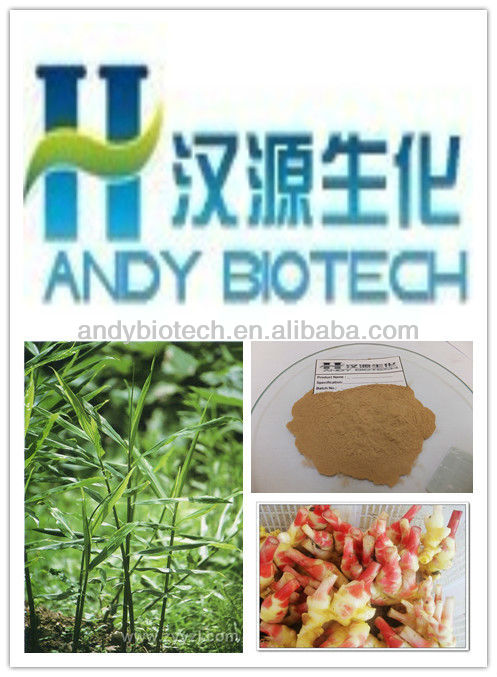 Hign Quality 5% Gingerols Ginger Extract