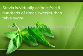 2014 hot sales high quality organic stevia