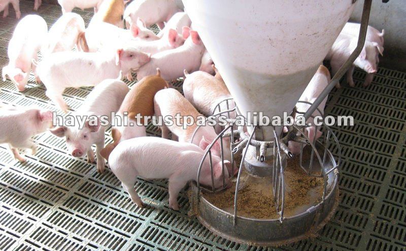 The other pig farms began to raise their animals using the same feed as that farm, and all involved grouped together to make a n