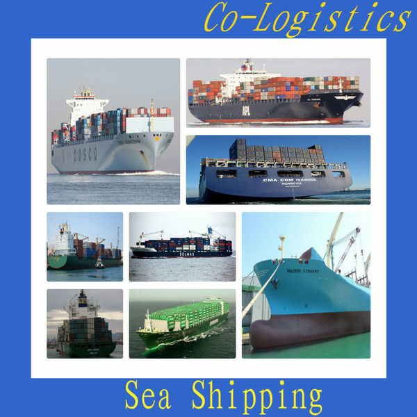 中国からカヤオの安い海上輸送--Gina CHENG問屋・仕入れ・卸・卸売り