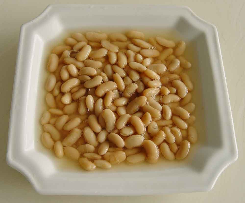 canned white kidney beans1