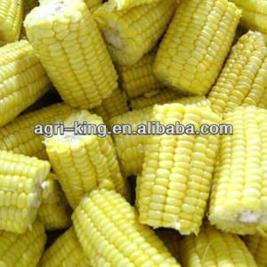 export frozen sweet corn kernels