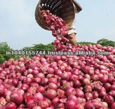 SMALL RED ONION